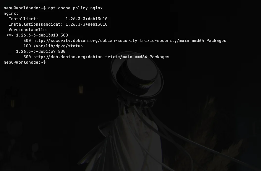 Worldnode-Terminal mit apt-cache policy nginx: installierte und angebotene Version 1.26.3-3+deb13u10 aus trixie-security, Basisstand deb13u7.