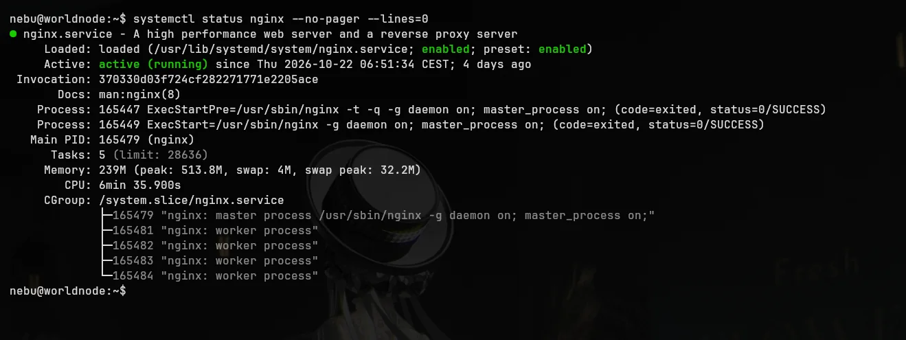 systemctl status nginx: Dienst aktiviert und active running seit 22. Oktober 2026, 06:51:34 CEST; erfolgreiches nginx -t vor dem Start.