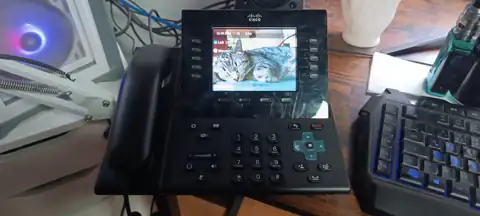 Cisco CP-9951 on the lab desk showing the cat wallpaper and configured speed dials