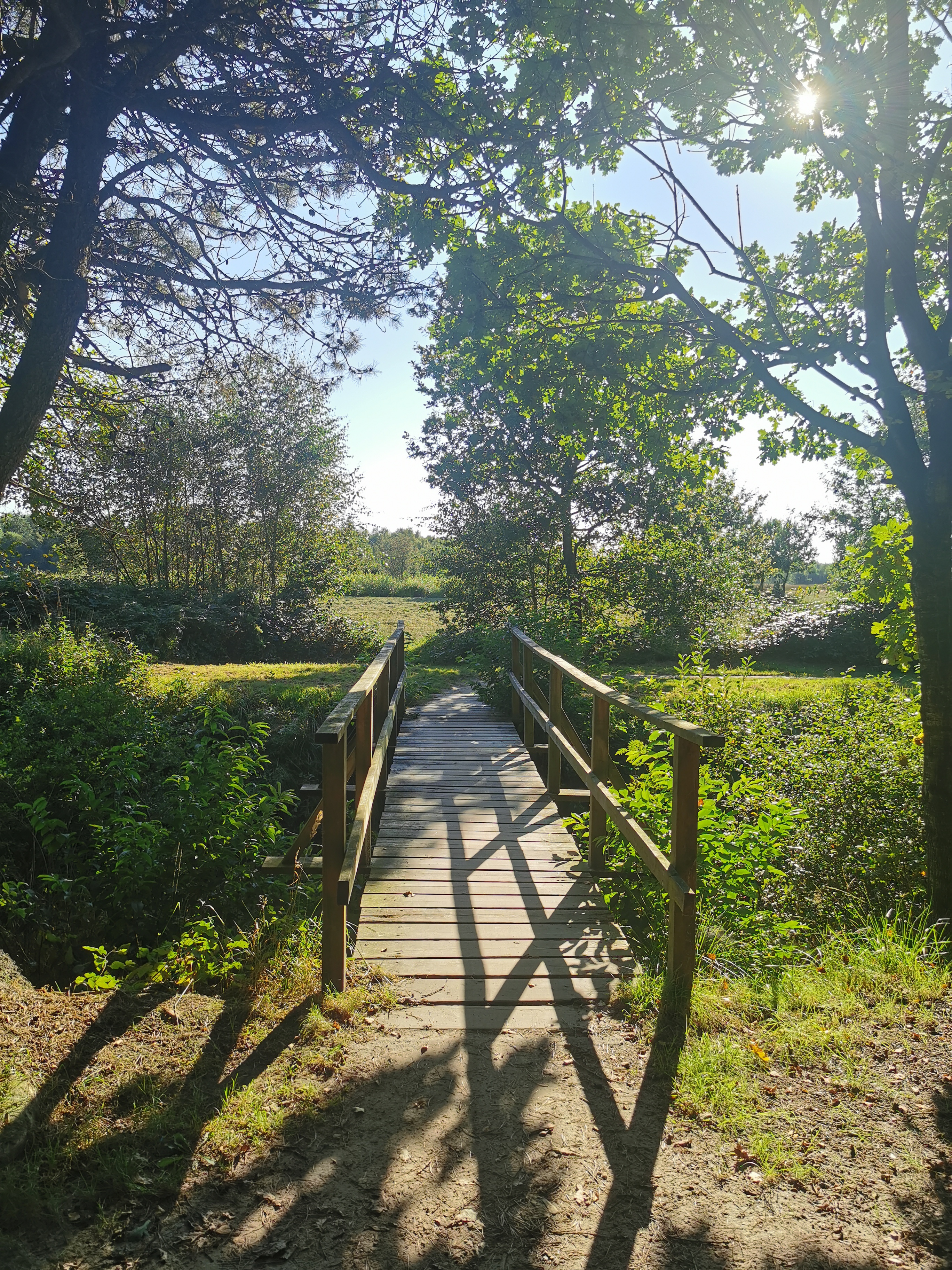 Small bridge and intimate local nature in Wiesmoor