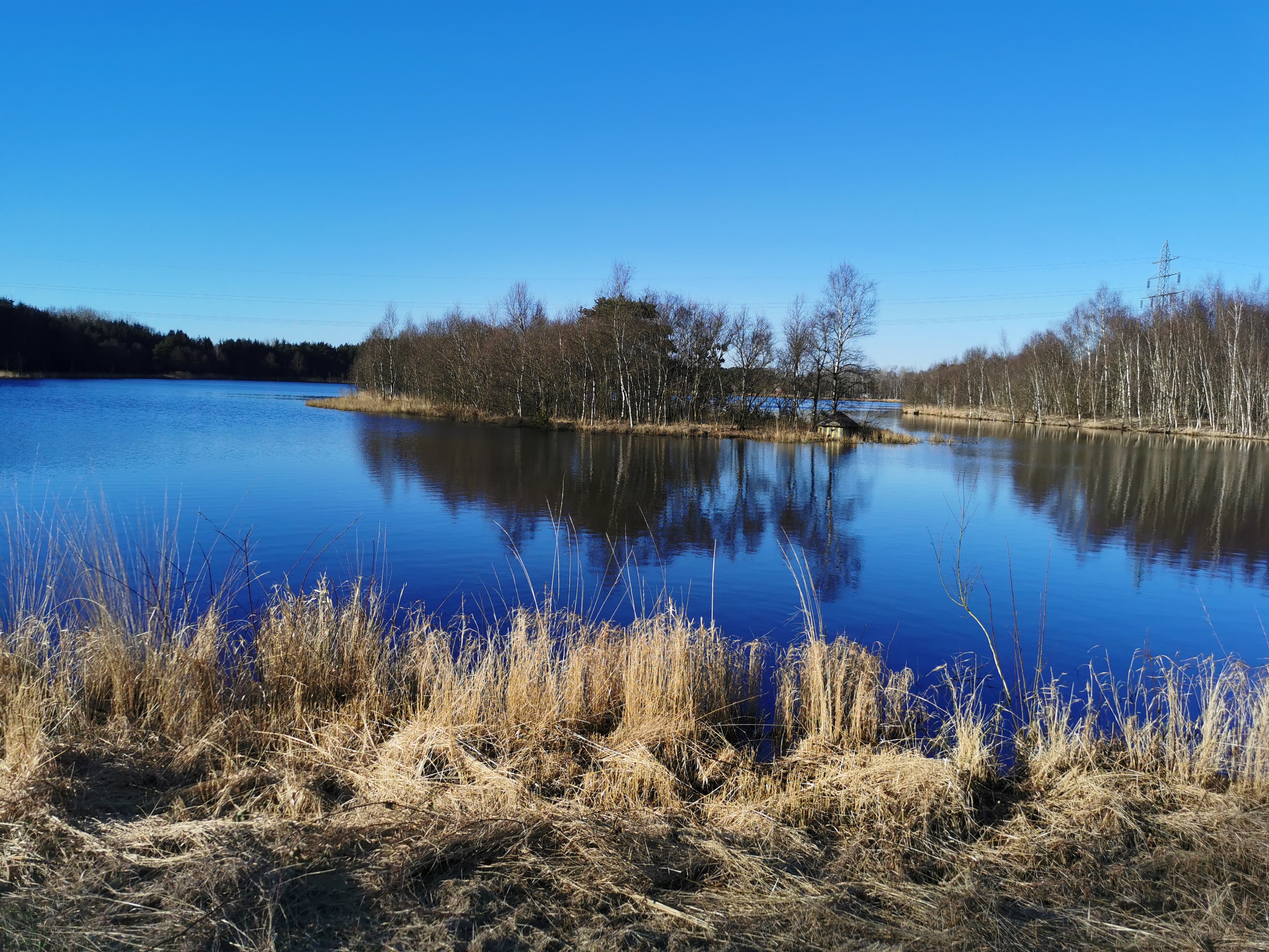 Ottermeer waterside view in Wiesmoor's transformed landscape